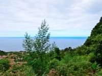 madeira 1152 : Portugal, PRT