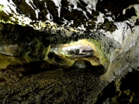 madeira 0281 : Portugal, PRT