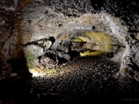 madeira 0286 : Portugal, PRT