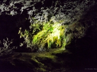 madeira 0287 : Portugal, PRT
