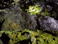 madeira 0289 : Portugal, PRT