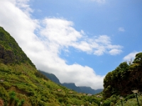 madeira 1073 : Portugal, PRT