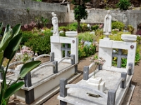 madeira 1078 : Portugal, PRT