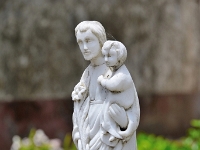 madeira 1079 : Portugal, PRT