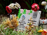 madeira 1081 : Portugal, PRT