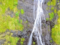 madeira 1130 : Portugal, PRT