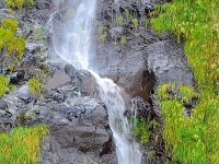 madeira 1131 : Portugal, PRT