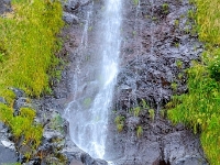 madeira 1132 : Portugal, PRT