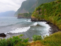 madeira 0655 : Portugal, PRT