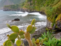 madeira 0656 : Portugal, PRT