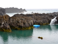 madeira 0657 : Portugal, PRT