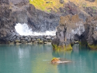 madeira 0664 : Portugal, PRT
