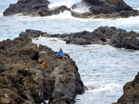 madeira 1088 : Portugal, PRT