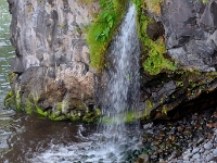 madeira 1114 : Portugal, PRT