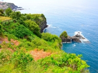 madeira 1124 : Portugal, PRT