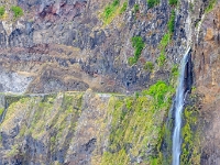 madeira 1126 : Portugal, PRT