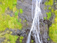 madeira 1130 : Portugal, PRT