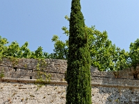 DSC 4487 ji : Gemeinde Bar, MNE, Montenegro, Stari Bar, Starobarska carsija, "Gasse mit dem alten Charme"