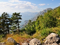 DSC 3508 ji : Bezirk Cetinje, Landesstraße R-1 Kotor - Trojica - Radanovići, MNE, Montenegro, nähe Trojica