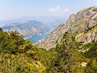 DSC 4736 ji : Bezirk Cetinje, in der nähe von Dorf Zanjev Do, Landesstraße R-1 Kotor - Trojica - Dorf Njeguši, MNE, Montenegro