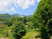 DSC 3155 ji : Landesstraße R 13 Cetinje-Lovcen, MNE, Montenegro, Nationalpark Lovcen