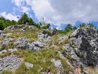 DSC 3158 ji : Bezirk Cetinje, Landesstraße R 13 Cetinje-Lovcen, MNE, Montenegro, Nationalpark Lovcen