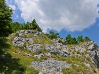 DSC 3159 ji : Bezirk Cetinje, Landesstraße R 13 Cetinje-Lovcen, MNE, Montenegro, Nationalpark Lovcen
