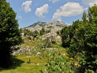 DSC 3177 ji : Bezirk Cetinje, Landesstraße R 13 Cetinje-Lovcen, MNE, Montenegro, Nationalpark Lovcen
