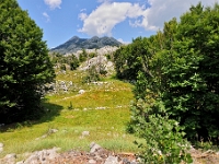 DSC 3186 ji : Bezirk Cetinje, Landesstraße R 13 Cetinje-Lovcen, MNE, Montenegro, Nationalpark Lovcen