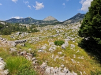 DSC 3187 ji : Bezirk Cetinje, Landesstraße R 13 Cetinje-Lovcen, MNE, Montenegro, Nationalpark Lovcen