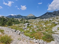 DSC 3189 ji : Bezirk Cetinje, Landesstraße R 13 Cetinje-Lovcen, MNE, Montenegro, Nationalpark Lovcen