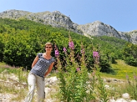 DSC 3203 ji : Bezirk Cetinje, MNE, Montenegro, Nationalpark Lovcen, Nebenstraße Cetinje-Lovcen