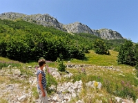 DSC 3206 ji : Bezirk Cetinje, MNE, Montenegro, Nationalpark Lovcen, Nebenstraße Cetinje-Lovcen