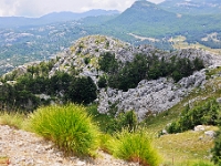 DSC 3219 ji : Bezirk Cetinje, MNE, Montenegro, Nationalpark Lovcen, Nebenstraße Cetinje-Lovcen