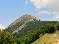 DSC 3222 ji : Bezirk Cetinje, MNE, Montenegro, Nationalpark Lovcen, Nebenstraße Cetinje-Lovcen
