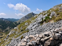 DSC 3343 ji : Bezirk Cetinje, Gipfel Jezerski 1657m, MNE, Montenegro, Nationalpark Lovcen