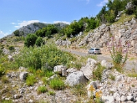 DSC 3372 ji : Bezirk Cetinje, MNE, Montenegro, Nationalpark Lovcen, Nebenstraße zur Landesstraße R-1, nähe Dorf Kuk