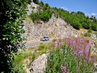 DSC 3373 ji : Bezirk Cetinje, MNE, Montenegro, Nationalpark Lovcen, Nebenstraße zur Landesstraße R-1, nähe Dorf Kuk