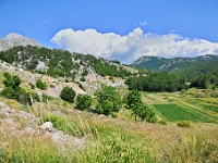 DSC 3377 ji : Bezirk Cetinje, MNE, Montenegro, Nationalpark Lovcen, Nebenstraße zur Landesstraße R-1, nähe Dorf Kuk