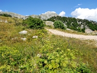 DSC 3383 ji : Bezirk Cetinje, MNE, Montenegro, Nationalpark Lovcen, Nebenstraße zur Landesstraße R-1, nähe Dorf Kuk
