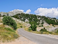 DSC 3386 ji : Bezirk Cetinje, MNE, Montenegro, Nationalpark Lovcen, Nebenstraße zur Landesstraße R-1, nähe Dorf Kuk