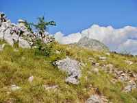 DSC 3391 ji : Bezirk Cetinje, MNE, Montenegro, Nationalpark Lovcen, Nebenstraße zur Landesstraße R-1, nähe Dorf Kuk
