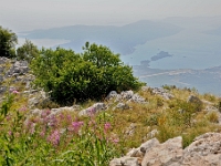DSC 3402 ji : Bezirk Cetinje, MNE, Montenegro, Nationalpark Lovcen, Nebenstraße zur Landesstraße R-1, nähe Dorf Kuk
