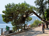 DSC 2147 ji : Bezirk Herceg Novi, Promenade Pet Danica, Yachting Club 32, MNE, Montenegro