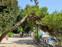 DSC 2150 ji : Bezirk Herceg Novi, Promenade Pet Danica, Yachting Club 32, MNE, Montenegro