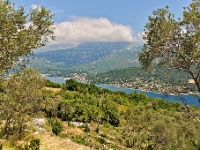 DSC 2325 ji : Bezirk Herceg Novi, Gemeinde Luštica, MNE, Montenegro, nähe Mitrovici