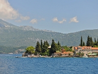 DSC 2335 ji : Bezirk Herceg Novi, Gemeinde Luštica, MNE, Montenegro, Rose