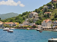 DSC 2336 ji : Bezirk Herceg Novi, Gemeinde Luštica, MNE, Montenegro, Rose