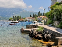 DSC 2338 ji : Bezirk Herceg Novi, Gemeinde Luštica, MNE, Montenegro, Rose