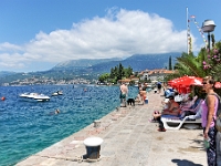 DSC 2343 ji : Bezirk Herceg Novi, Gemeinde Luštica, MNE, Montenegro, Rose